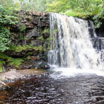 Kisdon Force